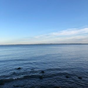 Meet your Posher, Billy